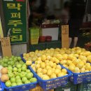 시장과일 - 강서구 등촌로5길 8 | 시장과일