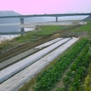 금강변길 이미지