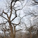 가인야영장 이미지