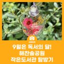 해찬솔 | 9월은 독서의 달! 해찬솔공원 작은도서관 탐방기