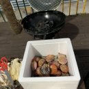 블루웨일 빌리지 이미지