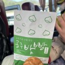풍경버스 | [공주] 마곡사 벚꽃여행_풍경있는 여행 버스패키지 후기
