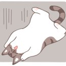 청주온누리동물메디컬센터