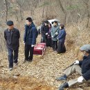 효림묘원