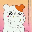 3DIVA 콘서트 | DIVA 팬콘서트 후기