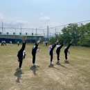 비룡1태권도장 이미지