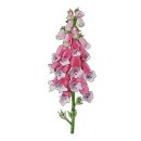 대정요양병원 이미지