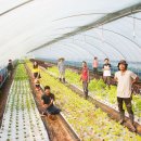 협업농장 이미지