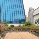 로그짐 강남역점 | 강남역 헬스장 “로그짐 강남역점” 어때요?