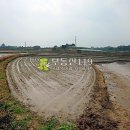 덕진농장 2농장 이미지