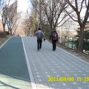 태을초교 이미지