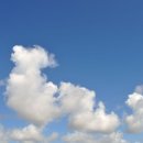 구름동물병원 이미지