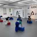 아트유도