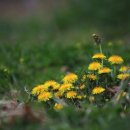 건강을주는안마원 이미지