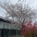 토토PC | 제주 서귀포 숙소 까사로마 호텔 조식 루프탑 수영장 3명 추천