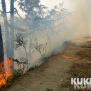 상서면사무소 이미지