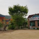 한소쿠리쭈꾸미