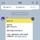 벨루스독 이미지