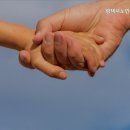 평택시노인전문요양원 | 토진리요양원 평택시노인전문요양원 전문 요양 서비스 제공