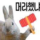 지영헤어 - 김포시 중구로 23 | 지영헤어