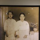 손수수예점