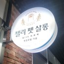 젤리펫살롱 with 아로마 이미지