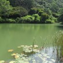 장동산림욕장 이미지