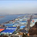 낙동강하구아미산전망대 이미지