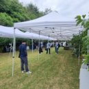 엑스포상사 이미지