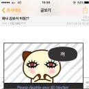 디시애드