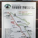 제330차 지리산 화엄사 암자 순례길 [2024.11.20일(수요일)] 이미지