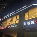 24시 동탄윌 동물의료센터 | 24시 윌 동물의료센터 더녀왔어요!