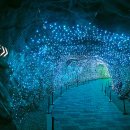 광명동굴 이미지