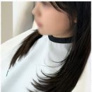 유스헤어 이미지