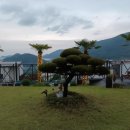 하이네펜션 이미지