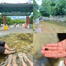 관악문화관도서관 | 서울 관악산 신림계곡 식당 주차 초보코스 등산 둘레길 공원 물놀이장