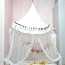 도도하개 이미지