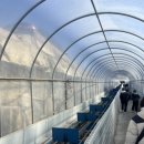 클럽아이리스 이미지