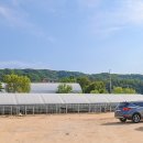 여주-1126 이미지