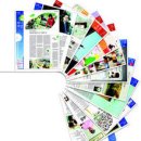 새신바람 이미지