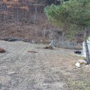 춘천대지부동산공인중개사사무소 이미지