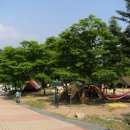 용문산관광지 야영장 이미지