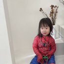 키즈빌리지 유치원 이미지