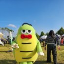 부안초교 | 전북 부안 가을축제 "헬로인 해뜰마루" 다녀온 후기