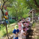 자연유치원 이미지