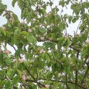 충무공농악 이미지