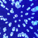 (주)딜라이트 | 딜라이트 담양 (Delight 담양)