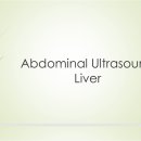 Abdominal Ultrasound Liver 이미지