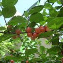 바다위 산아래 이미지