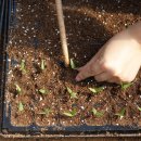 서원농장 이미지